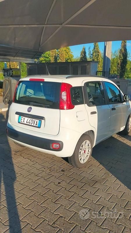Usata Fiat Panda 2014 Bianco Berlina