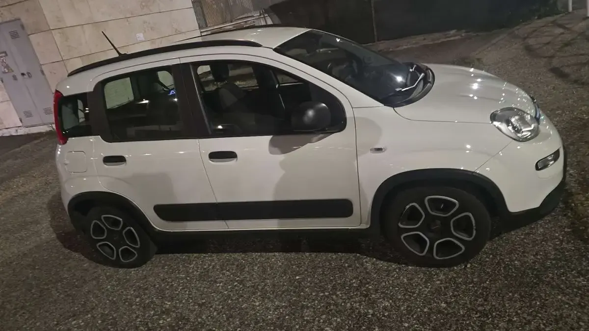 Usata Fiat Panda Cross Cross 69 CV (50 kW) 2022 Utilitaria