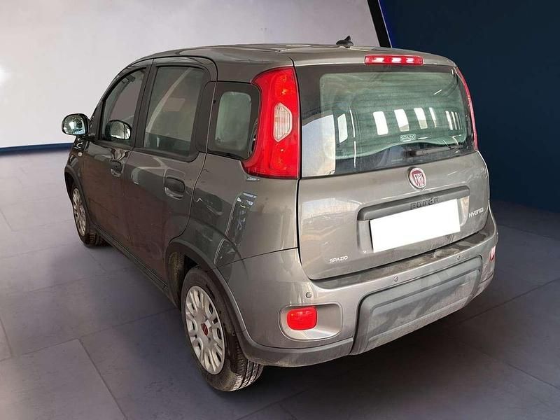 Usata Fiat Panda S 69 CV (50 kW) 2023 Grigio Utilitaria