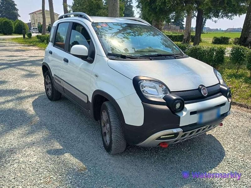 Usata Fiat Panda Cross Cross 80 CV (58 kW) 2014 Bianco Utilitaria