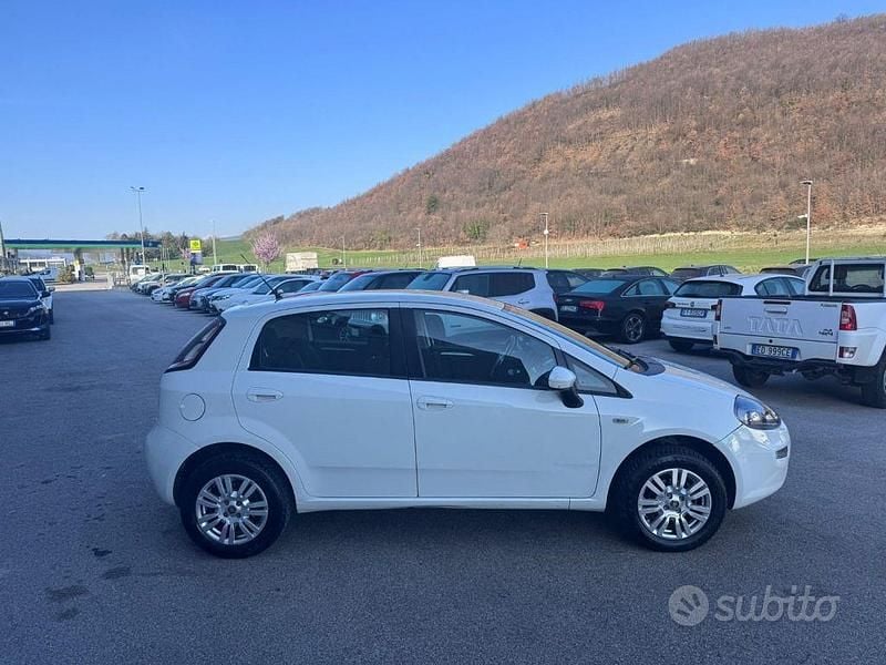 Usata Fiat Punto Lounge 77 CV (56 kW) 2014 Bianco Utilitaria