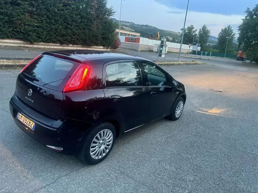 Usata Fiat Punto Evo Dynamic 95 CV (69 kW) 2011 Utilitaria