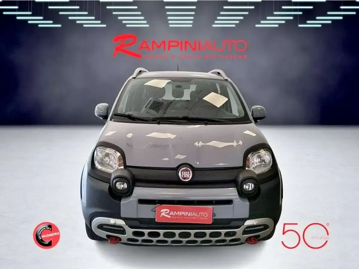 Usata Fiat Panda 4x4 86 CV (63 kW) 2020 Grigio Utilitaria