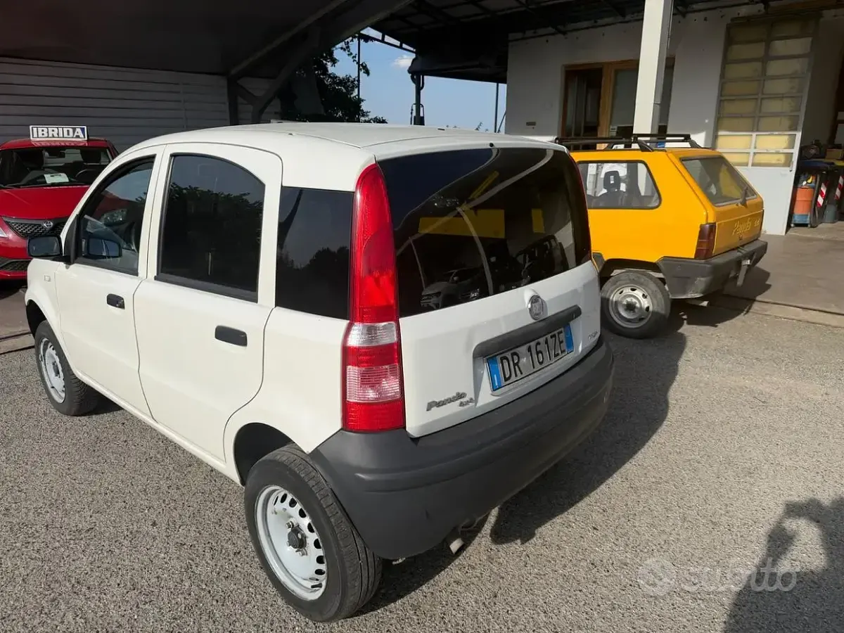 Usata Fiat Panda 4x4 Active 69 CV (50 kW) 2008 Bianco Utilitaria