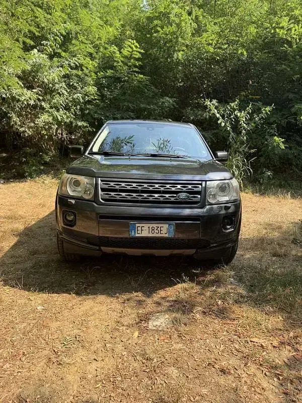 Usata Land Rover Freelander 2 SE 150 CV (110 kW) 2010 Grigio SUV