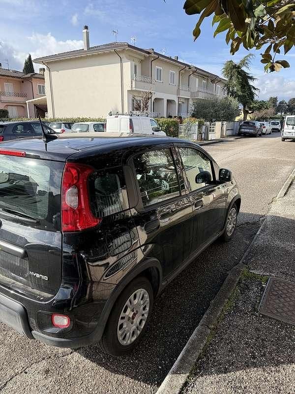 Usata Fiat Panda S 69 CV (50 kW) 2023 Utilitaria