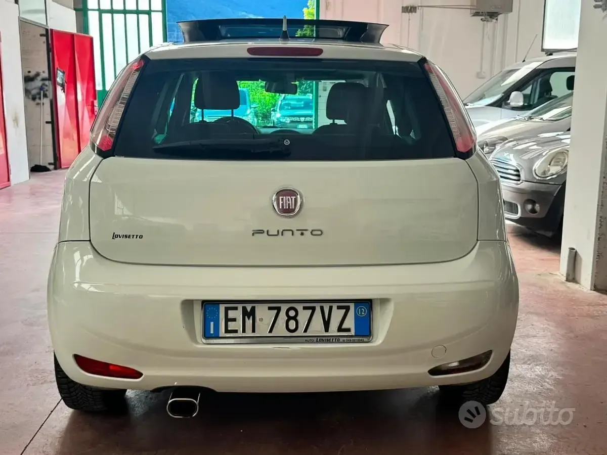 Usata Fiat Punto S 95 CV (69 kW) 2012 Bianco Utilitaria