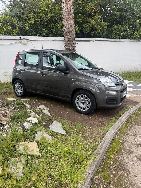 Usata Fiat Panda S 70 CV (51 kW) 2021 Grigio Utilitaria