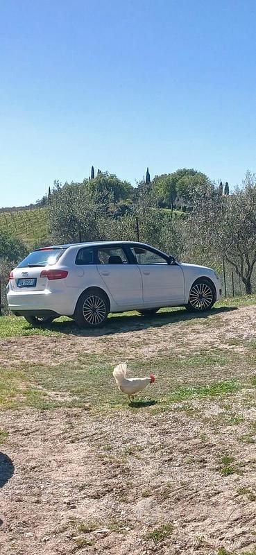 Usata Audi A3 105 CV (77 kW) 2009 Bianco Utilitaria