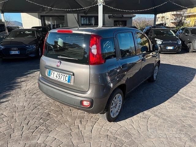 Usata Fiat Panda Easy 69 CV (50 kW) 2019 Grigio Berlina