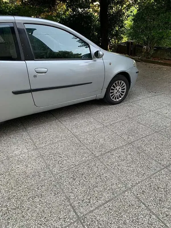 Usata Fiat Punto Active 60 CV (44 kW) 2008 Grigio Utilitaria