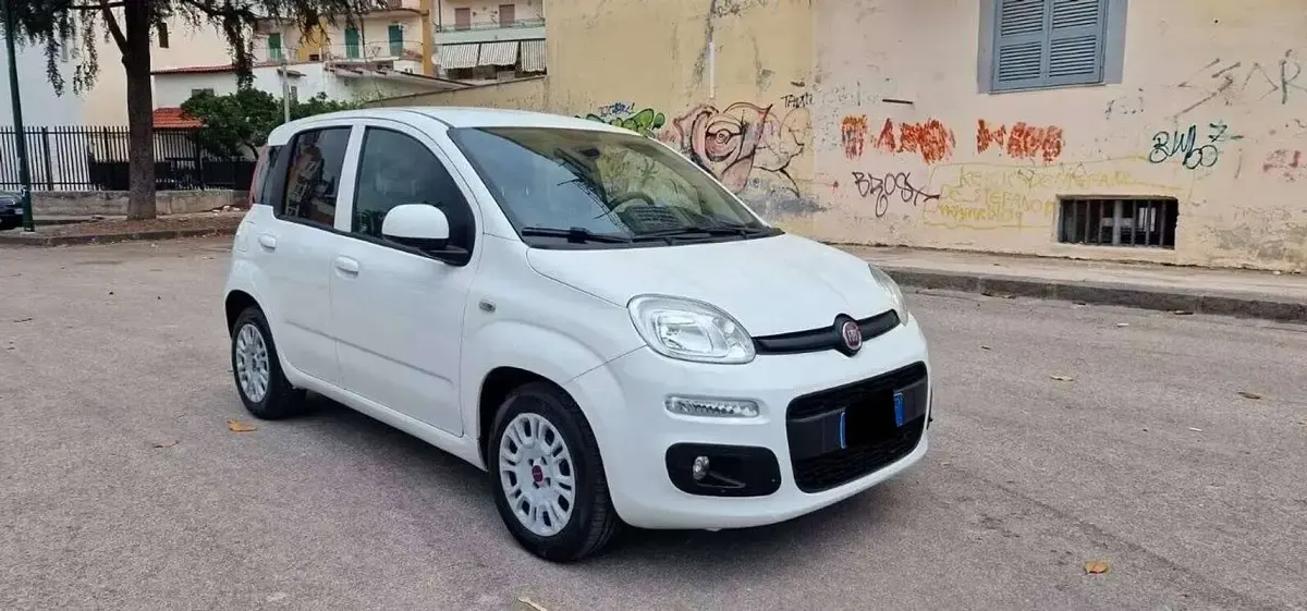 Usata Fiat Panda 4x4 69 CV (50 kW) 2010 Bianco Utilitaria