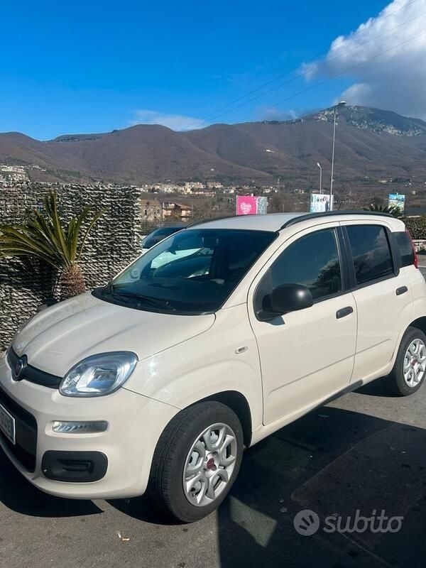 Usata Fiat Panda 70 CV (51 kW) 2013 Bianco Utilitaria