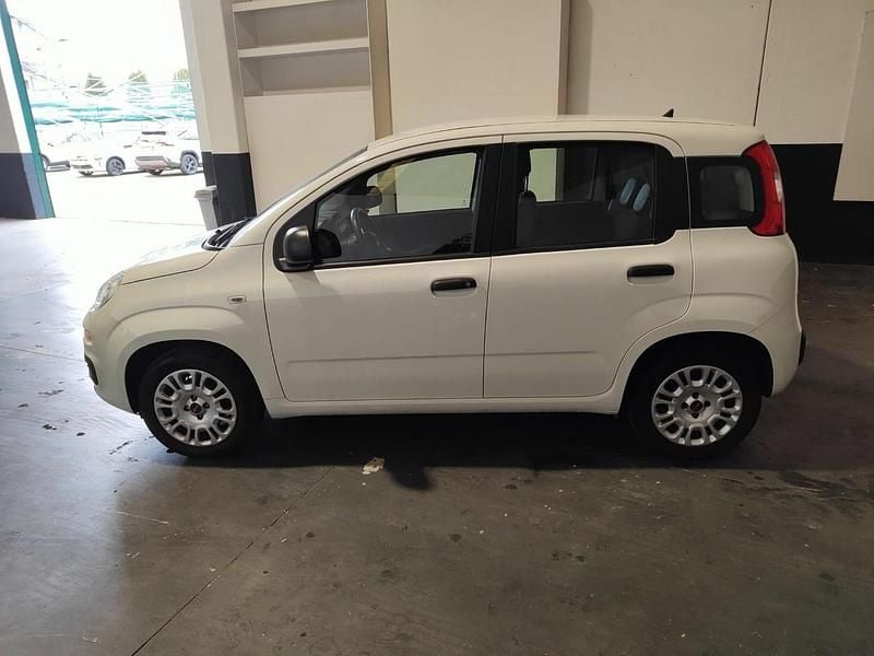 Usata Fiat Panda Easy 69 CV (50 kW) 2019 Bianco Utilitaria
