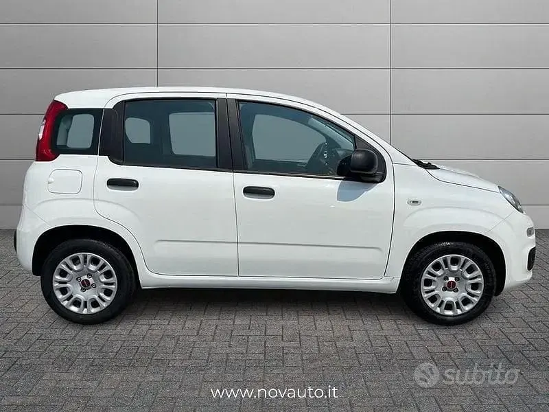 Usata Fiat Panda Easy 69 CV (50 kW) 2021 Bianco Utilitaria