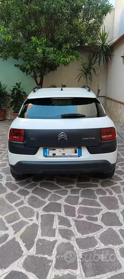 Usata Citroën C4 Cactus 82 CV (60 kW) 2016 Bianco Utilitaria