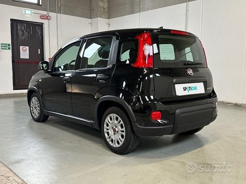 Usata Fiat Panda S 70 CV (51 kW) 2023 Bianco Utilitaria