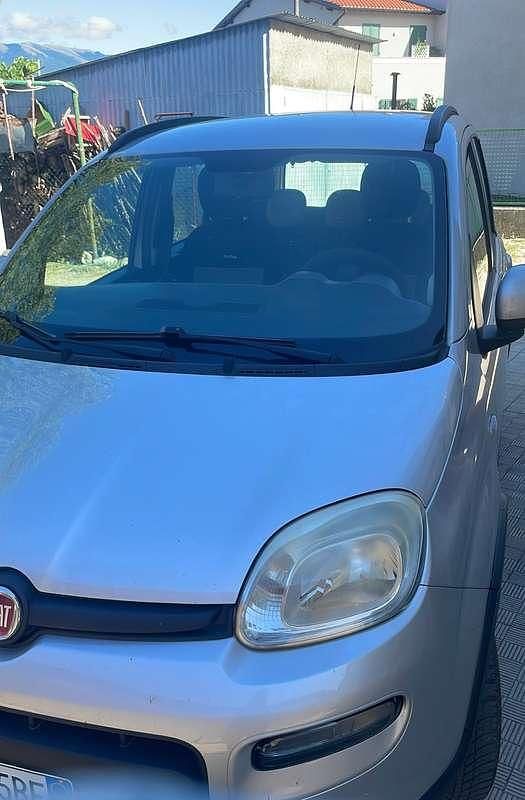 Usata Fiat Panda 4x4 75 CV (55 kW) 2013 Grigio Utilitaria