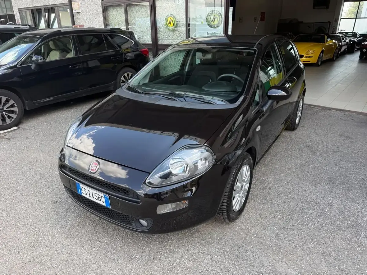 Usata Fiat Punto Easy 75 CV (55 kW) 2013 Utilitaria