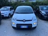 Usata Fiat Panda S 69 CV (50 kW) 2025 Bianco Utilitaria