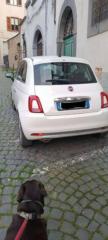 Usata Fiat 500C Lounge 75 CV (55 kW) 2016 Cabrio