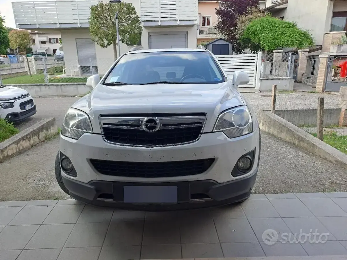 Usata Opel Antara 163 CV (119 kW) 2014 Bianco SUV