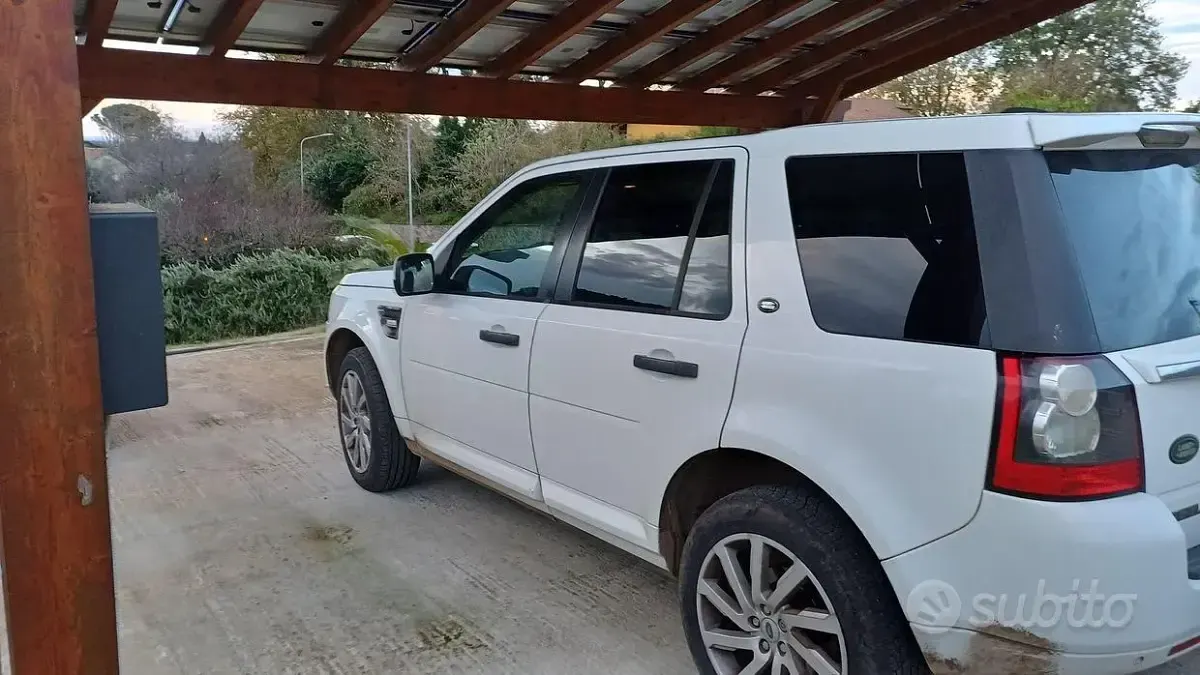 Usata Land Rover Freelander 2 190 CV (139 kW) 2011 Bianco SUV