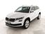 usata Skoda Kodiaq 2.0 tdi Style dsg