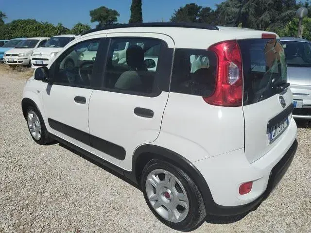 Usata Fiat Panda City Life 69 CV (50 kW) 2023 Bianco Utilitaria