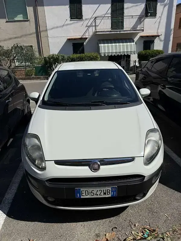 Usata Fiat Punto 80 CV (58 kW) 2011 Bianco Utilitaria