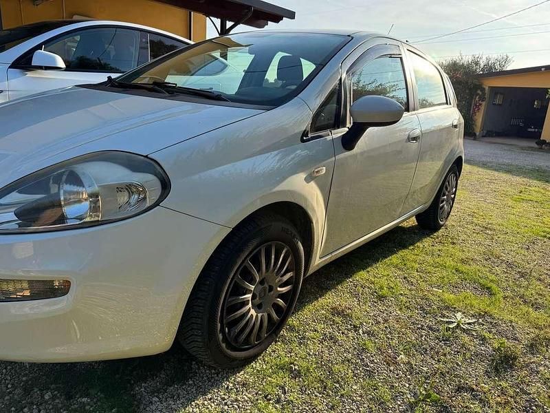 Usata Fiat Punto Easy 75 CV (55 kW) 2013 Bianco Berlina