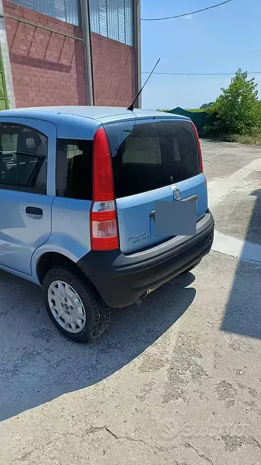 Usata Fiat Panda 4x4 60 CV (44 kW) 2008 Utilitaria