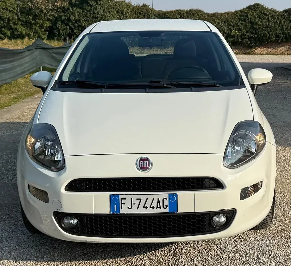 Usata Fiat Punto Evo 77 CV (56 kW) 2017 Bianco Utilitaria
