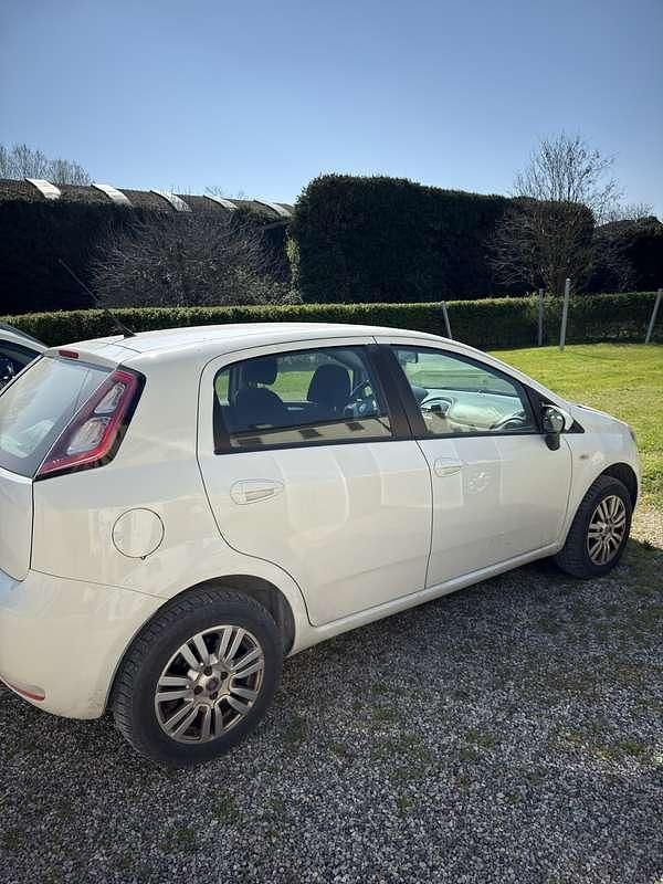 Usata Fiat Punto Pop 69 CV (50 kW) 2013 Utilitaria