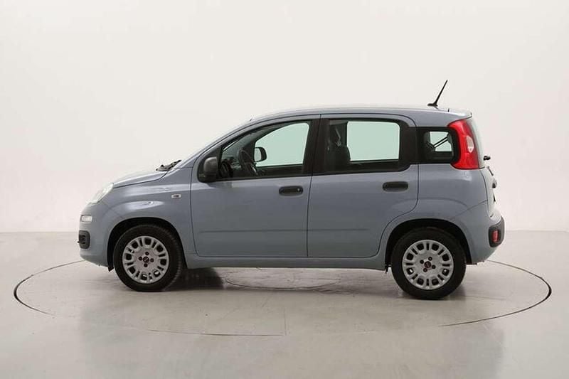 Usata Fiat Panda Easy 69 CV (50 kW) 2020 Grigio Utilitaria