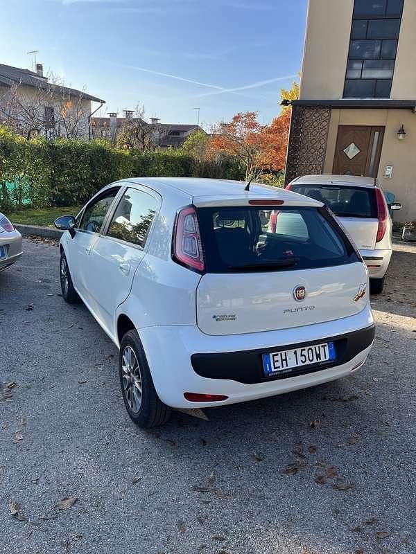 Usata Fiat Punto Evo Dynamic 69 CV (50 kW) 2011 Utilitaria