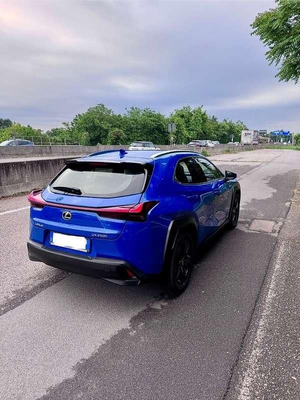 Usata Lexus UX 250h 145 CV (106 kW) 2024 SUV