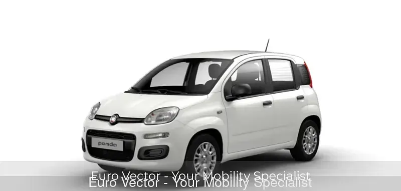 Usata Fiat Panda S 70 CV (51 kW) 2025 Utilitaria