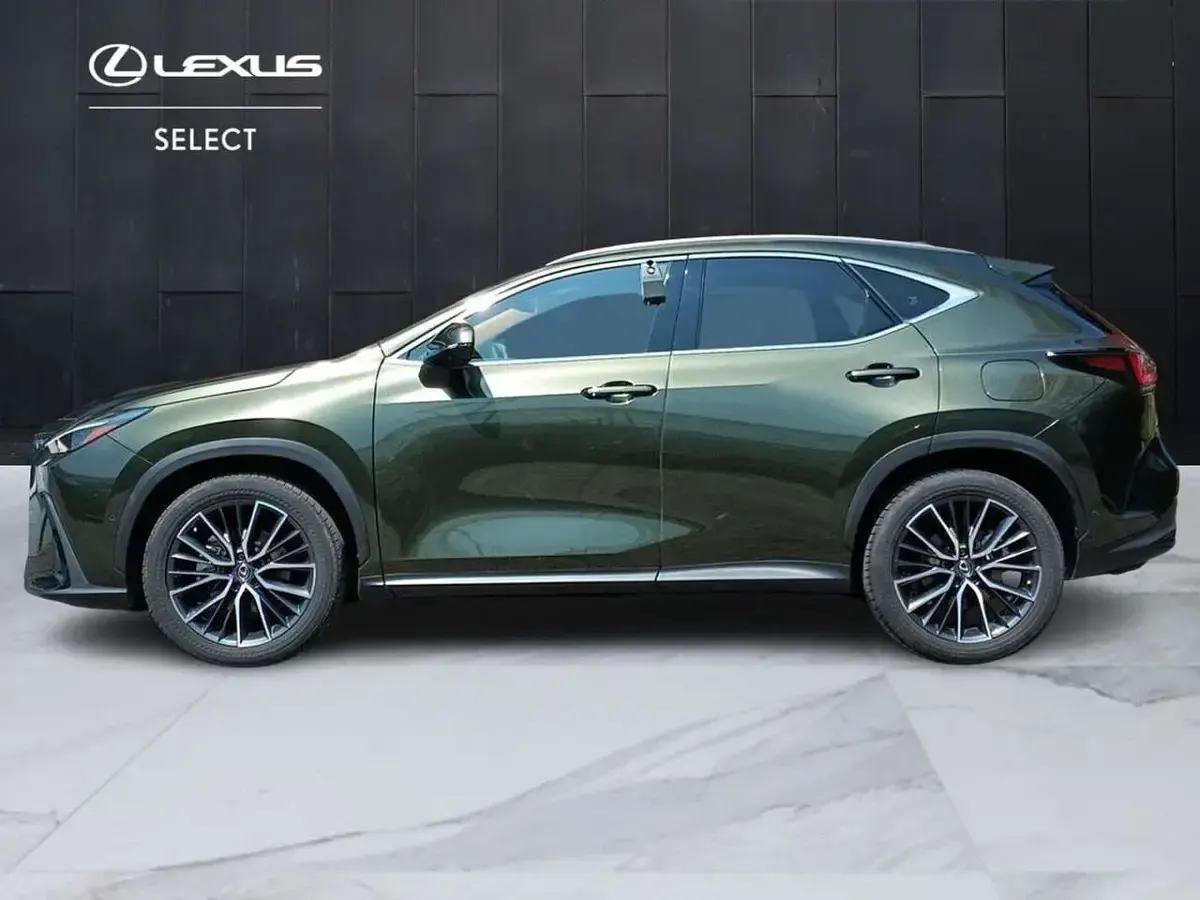 Usata Lexus NX300h Luxury Line 243 CV (178 kW) 2022 Verde SUV