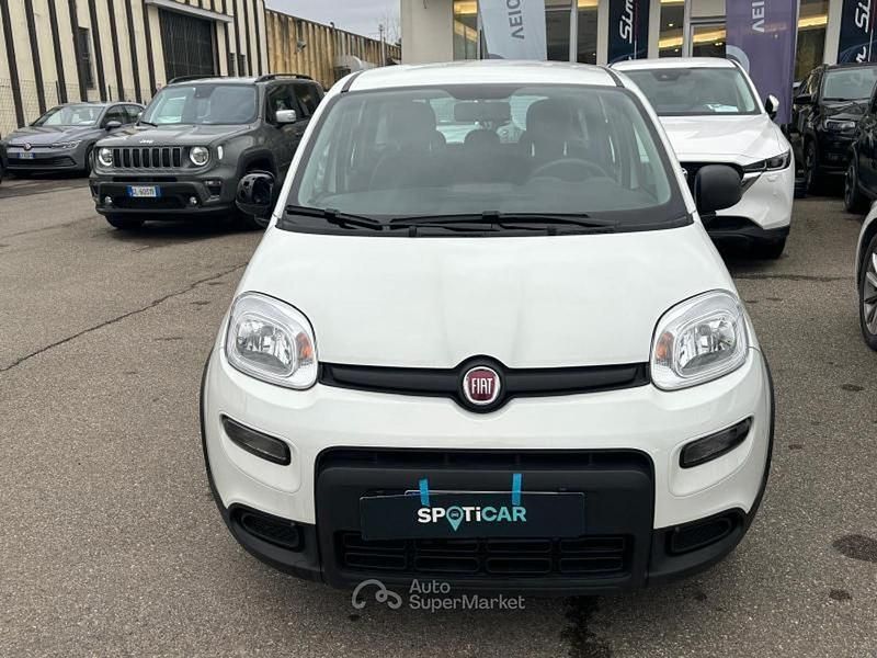 Usata Fiat Panda S 69 CV (50 kW) 2024 Bianco Utilitaria