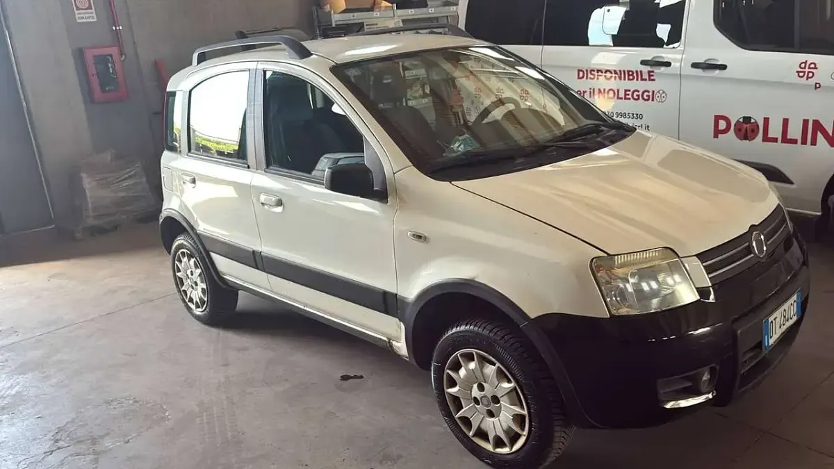 Usata Fiat Panda 4x4 60 CV (44 kW) 2008 Bianco Utilitaria
