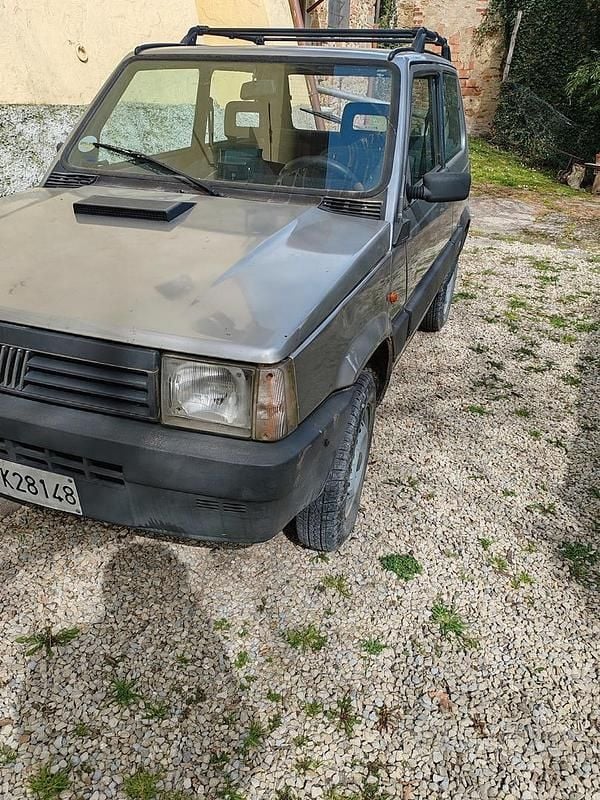 Usata Fiat Panda 4x4 1989 Grigio Utilitaria