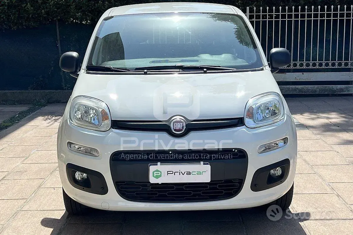 Usata Fiat Panda Easy 69 CV (50 kW) 2020 Bianco Utilitaria