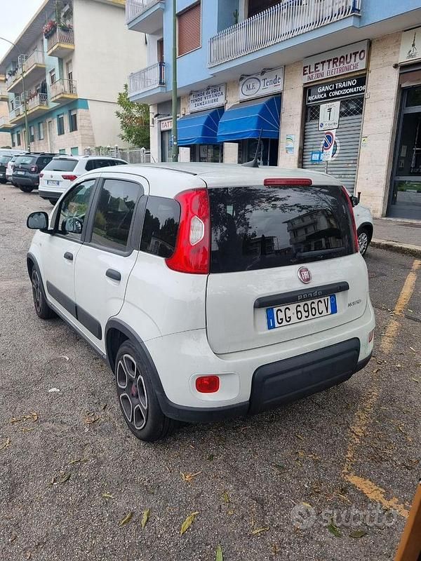 Usata Fiat Panda 70 CV (51 kW) 2021 Bianco Utilitaria