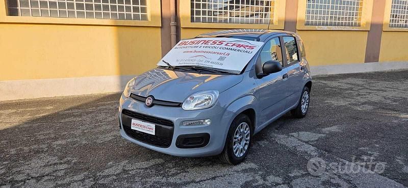Usata Fiat Panda Easy 69 CV (50 kW) 2020 Grigio Utilitaria
