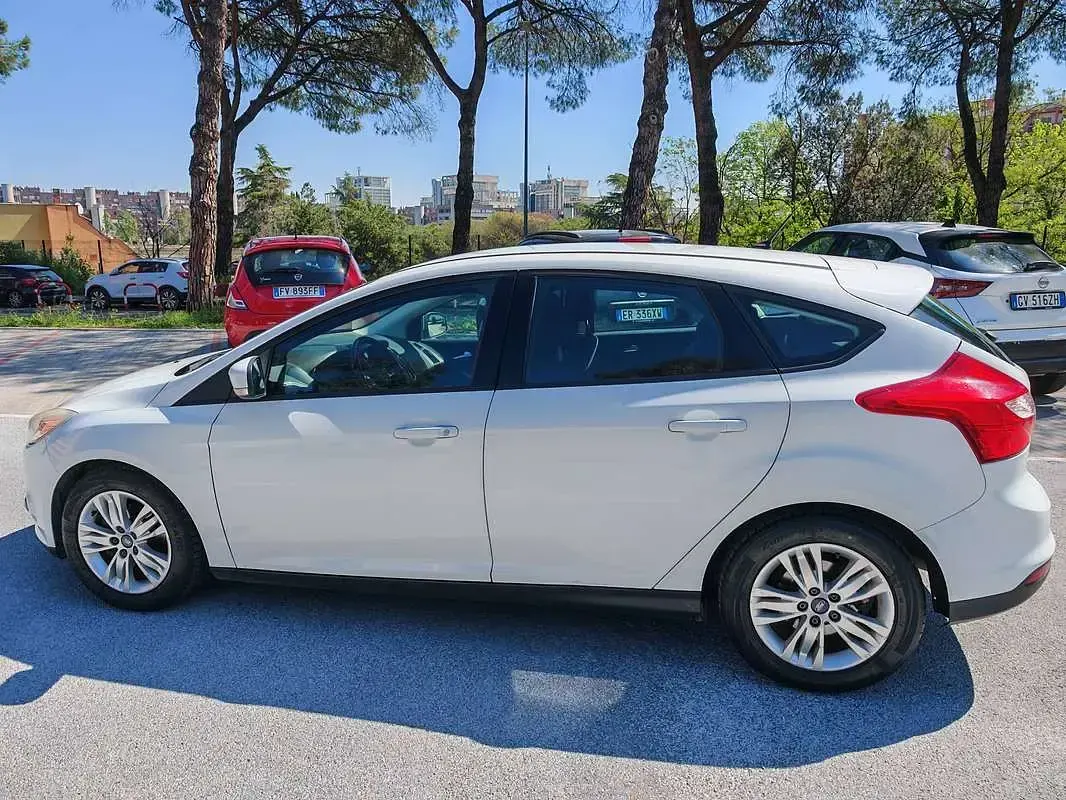 Usata Ford Focus Business Edition 95 CV (69 kW) 2012 Bianco Berlina