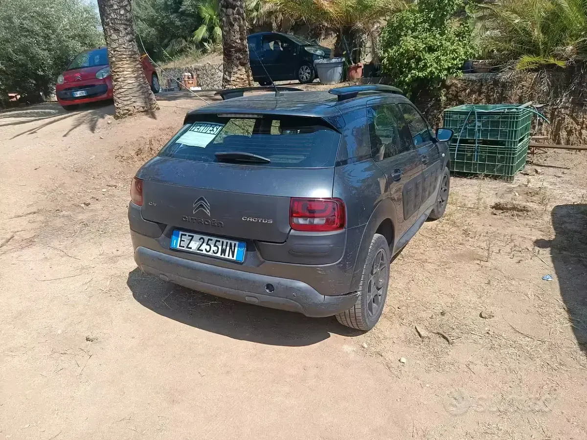 Usata Citroën C4 Cactus 92 CV (67 kW) 2015 Utilitaria