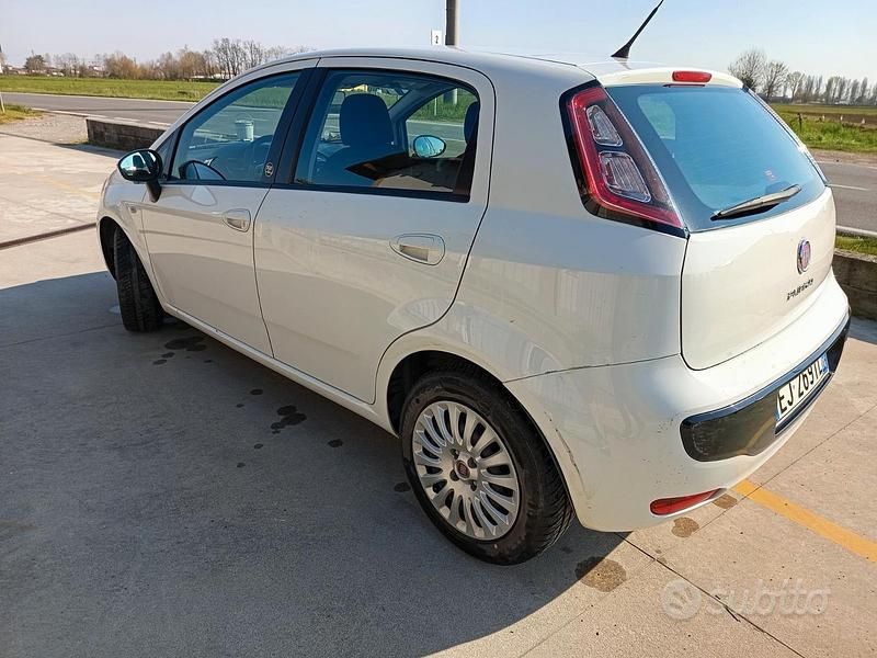 Usata Fiat Punto Evo 69 CV (50 kW) 2011 Bianco Utilitaria