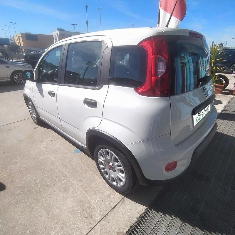 Usata Fiat Panda S 70 CV (51 kW) 2023 Bianco Utilitaria
