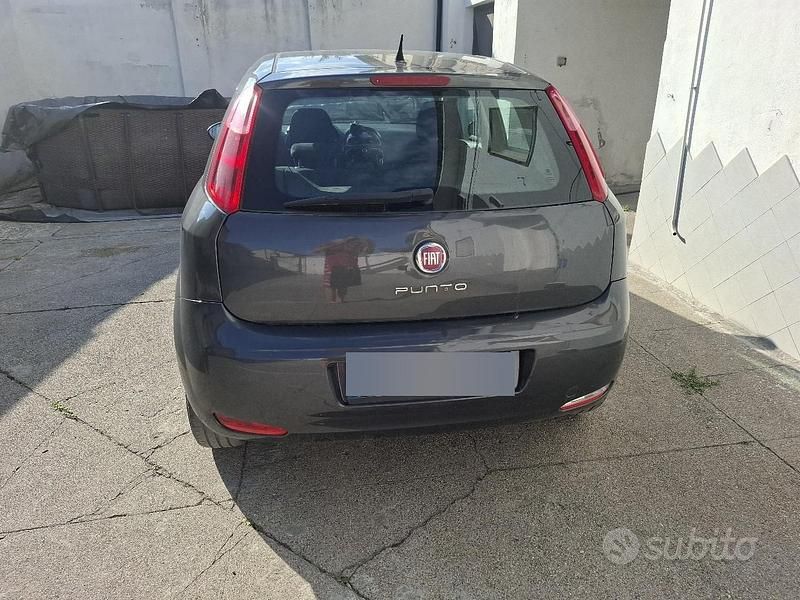 Usata Fiat Punto 77 CV (56 kW) 2016 Grigio Utilitaria
